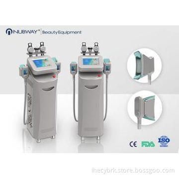 Two RF Handles Coolsculpting Machine Vertical For Body Shap